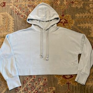 Altar’d State Revival hoodie, sage green, XS